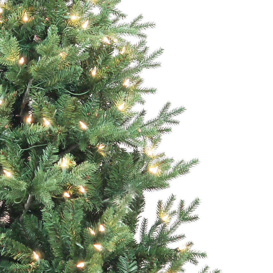 6' Pre-Lit Clear Incandescent Jackson Pine Tree