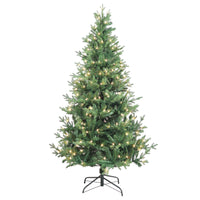 6' Pre-Lit Clear Incandescent Jackson Pine Tree