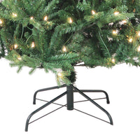 6' Pre-Lit Clear Incandescent Jackson Pine Tree