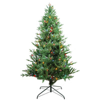 6' Pre-Lit Multicolor Incandescent Jackson Pine Tree