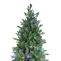9' Pre-Lit Multicolor LED Jackson Pine Tree