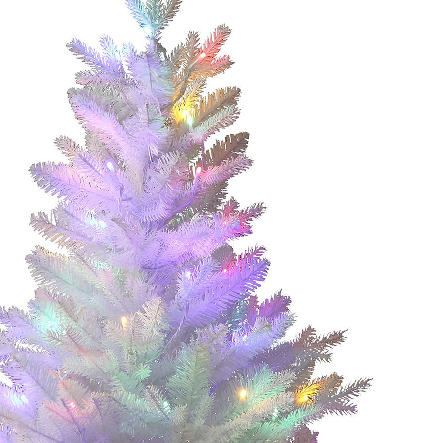 3' Pre-Lit Multicolor LED Jackson White Pine Tree