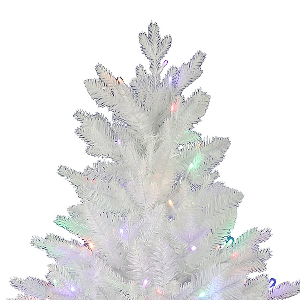 5' Pre-Lit Multicolor LED Jackson White Pine Tree