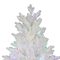 5' Pre-Lit Multicolor LED Jackson White Pine Tree
