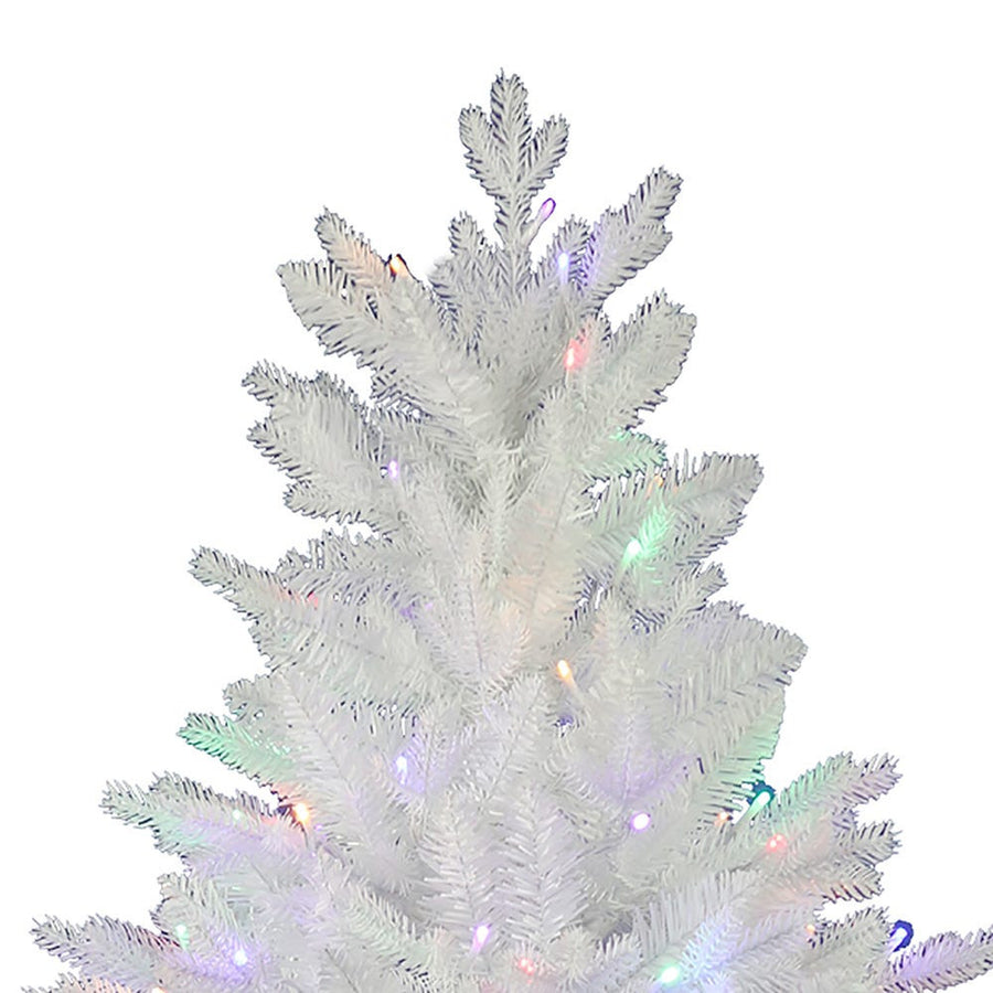 5' Pre-Lit Multicolor LED Jackson White Pine Tree