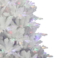 7' Pre-Lit Multicolor LED Jackson White Pine Tree