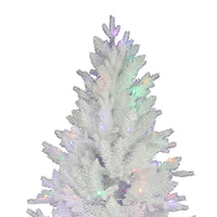 7' Pre-Lit Multicolor LED Jackson White Pine Tree