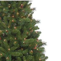 7.5' Pre-Lit Clear Incandescent Burlington Spruce Tree