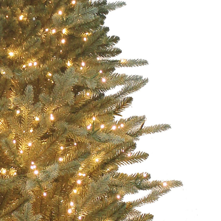 6' Pre-Lit Warm White Cluster LED Blue Spruce Tree