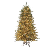 6' Pre-Lit Warm White Cluster LED Blue Spruce Tree