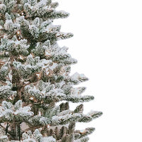 9' Pre-Lit Clear Incandescent Snow Pine Tree