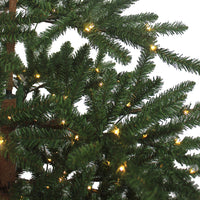 7' Pre-Lit Warm White LED Mountain Pine Tree