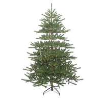 7' Pre-Lit Warm White LED Mountain Pine Tree