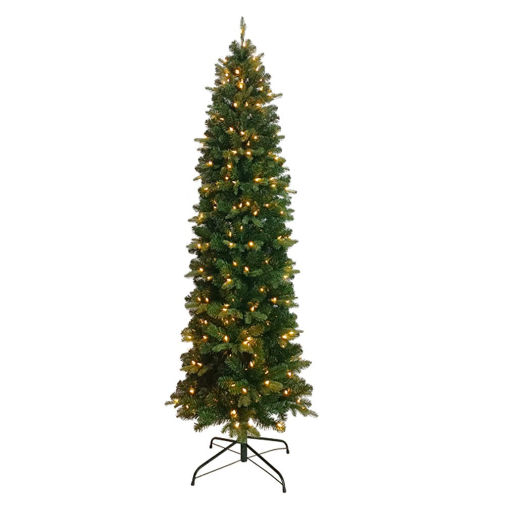 6' Pre-Lit Warm White LED Studio Spruce Tree