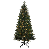 6' Pre-Lit Warm White LED Studio Spruce Tree