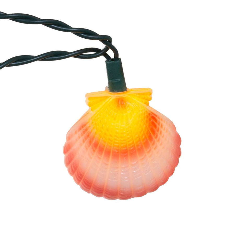 9' UL 10L Conch and Shells Light Set
