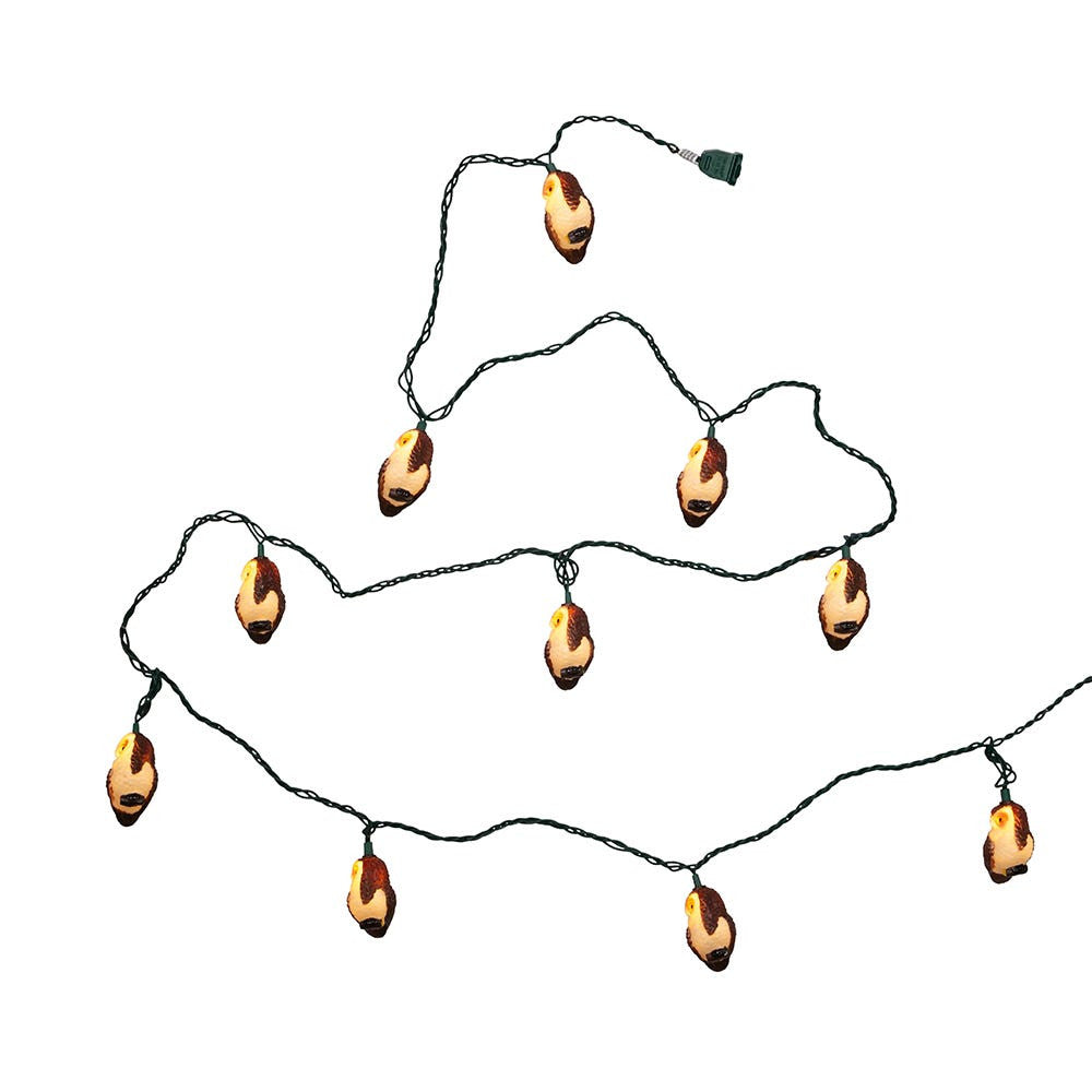 9' UL 10L Brown Owl Light Set