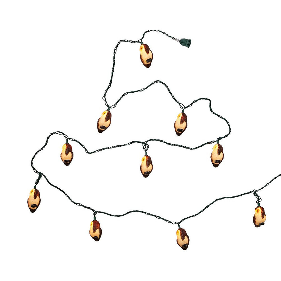 9' UL 10L Brown Owl Light Set
