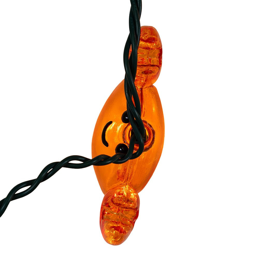 9' UL 10L Crab Light Set With End Connect