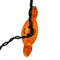 9' UL 10L Crab Light Set With End Connect