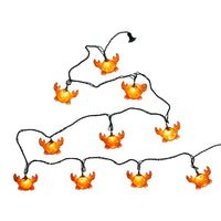 9' UL 10L Crab Light Set With End Connect