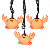 9' UL 10L Crab Light Set With End Connect