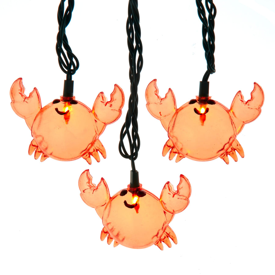 9' UL 10L Crab Light Set With End Connect