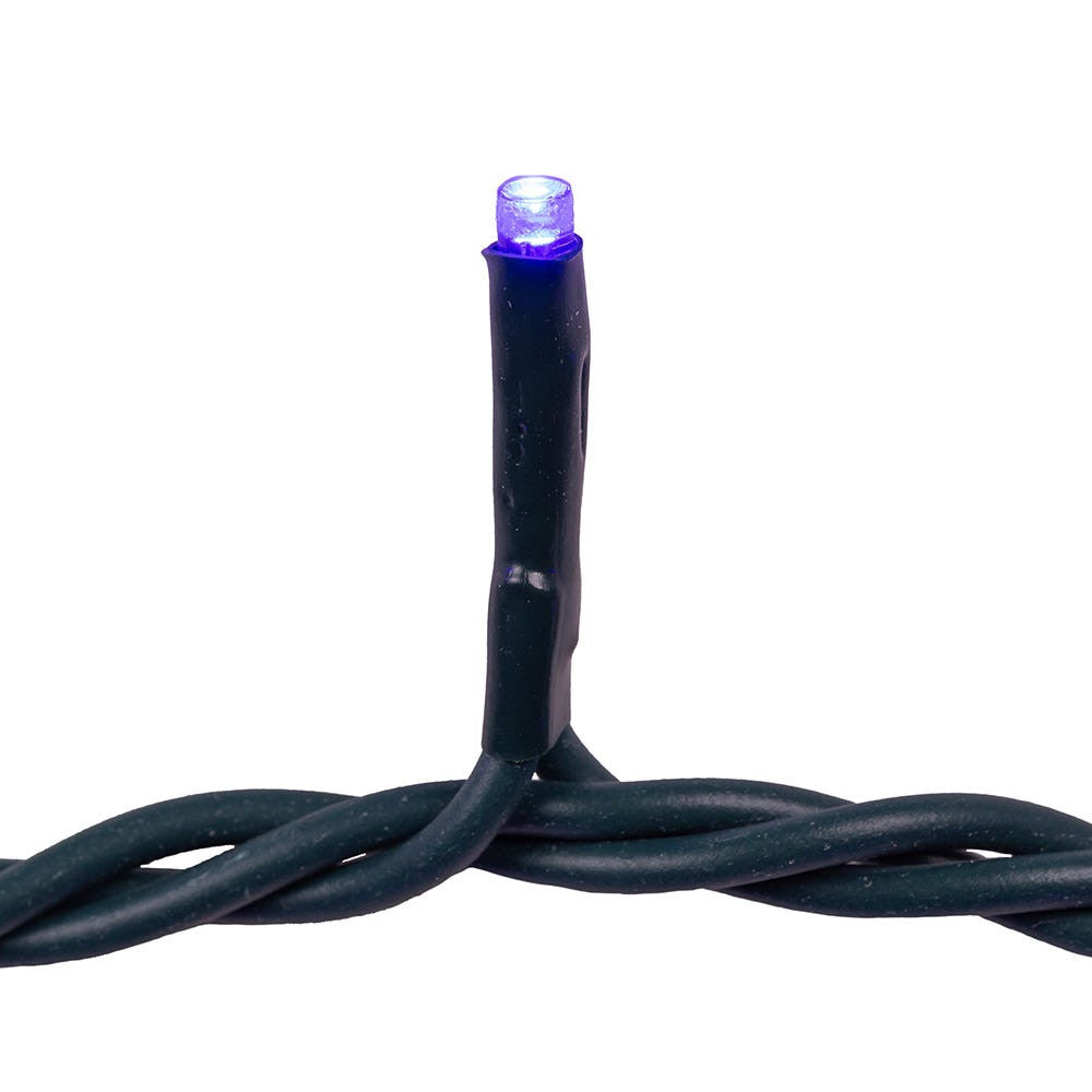 16.5' UL 100L Blue LED Green Wire Jingle Bright™ Light Set