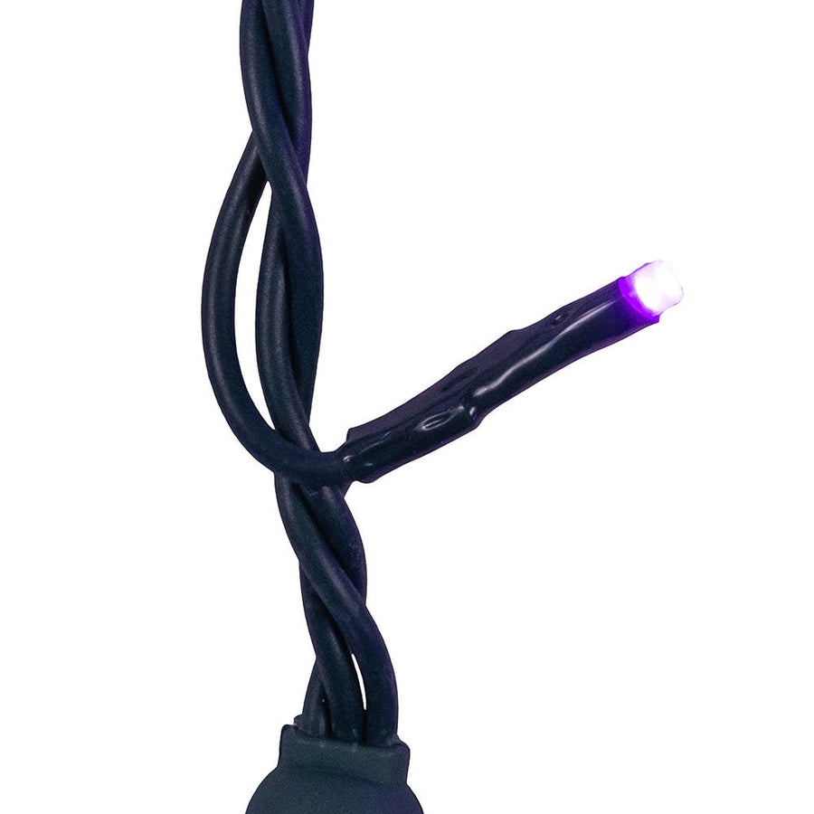 16.5' UL 100L Purple LED Green Wire Jingle Bright™ Light Set