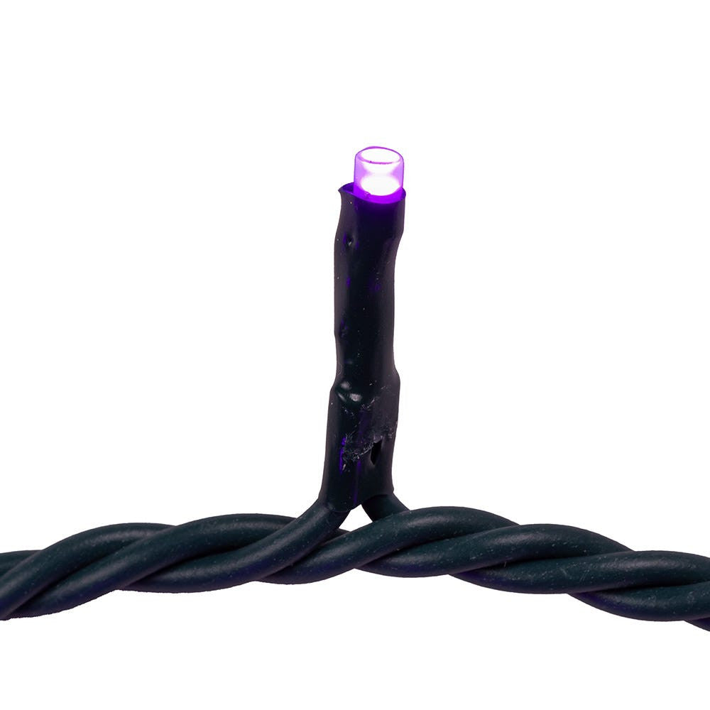 16.5' UL 100L Purple LED Green Wire Jingle Bright™ Light Set