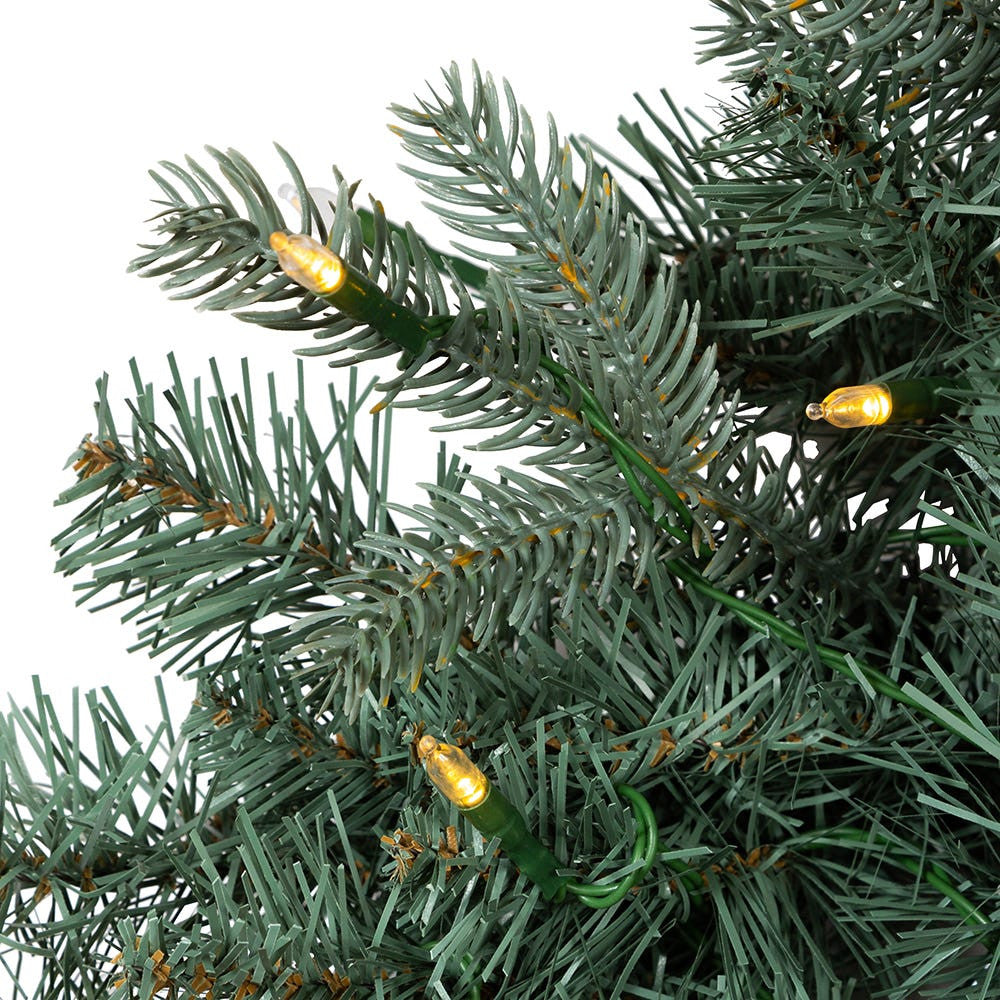 24" Battery-Operated Pre-Lit Warm White Cluster LED Noble Fir Wreath
